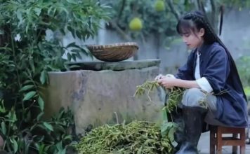 中国の田舎の生活が世界で話題?