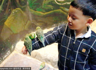 ショッピングモールにズートピア⁈