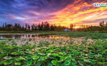 まるでキャンバスに描かれたような甘粛湿地