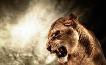 米国の香港人権法署名で中国が報復措置へ